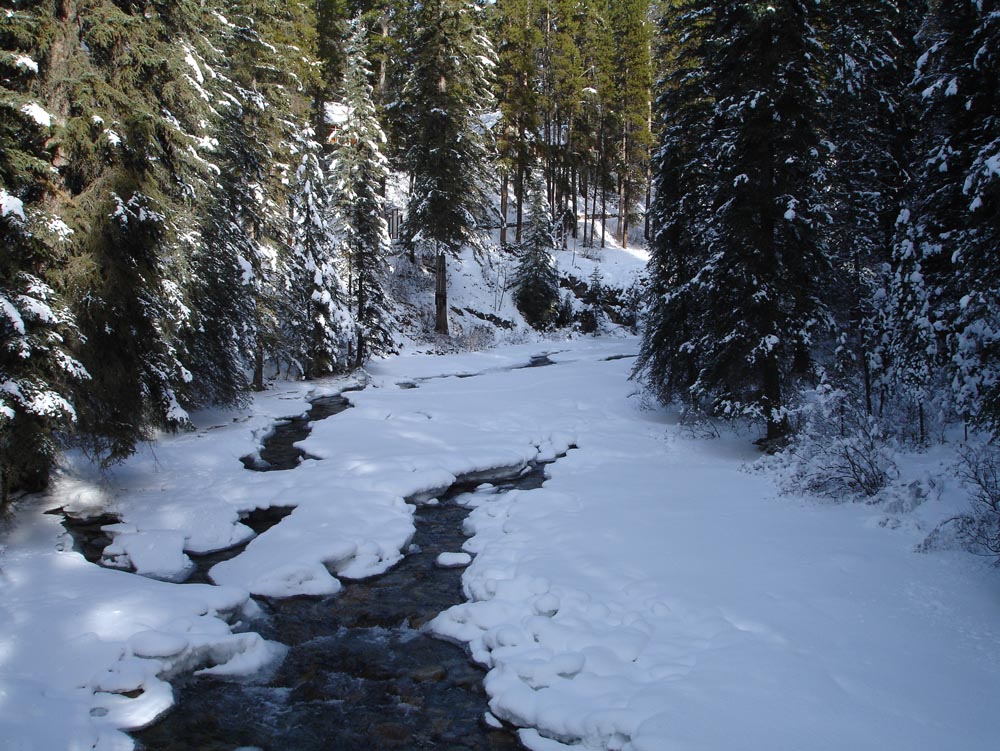 Banff, Canada: DSC03002.jpg