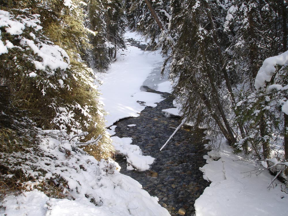Banff, Canada: DSC03004.jpg