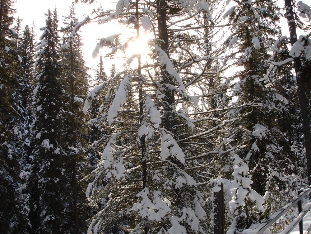 Banff, Canada: DSC03005.jpg