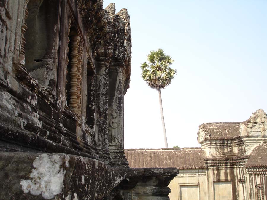 Siem Reap, Cambodia: DSC03539.jpg
