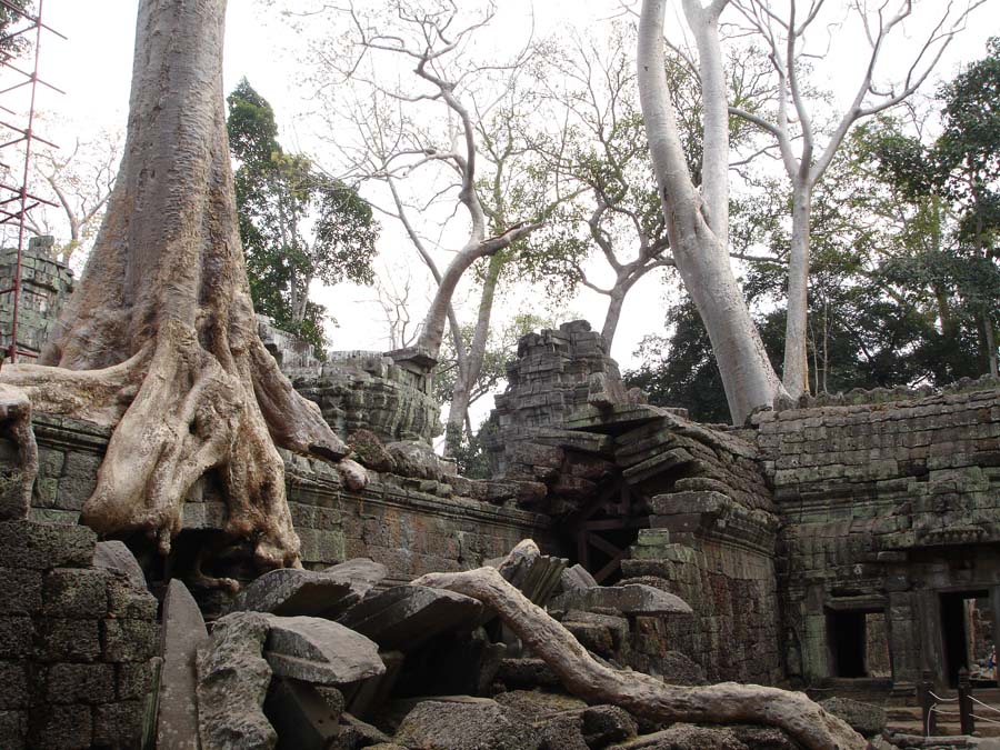 Siem Reap, Cambodia: DSC03603.jpg