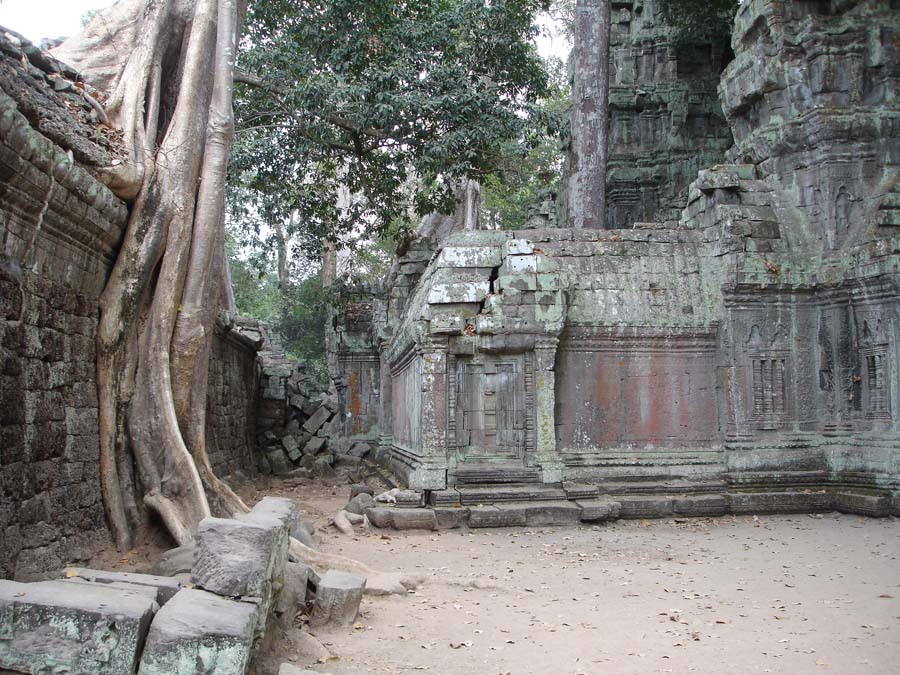Siem Reap, Cambodia: DSC03604.jpg