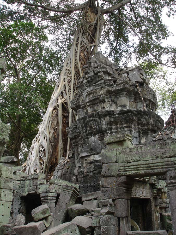 Siem Reap, Cambodia: DSC03606.jpg
