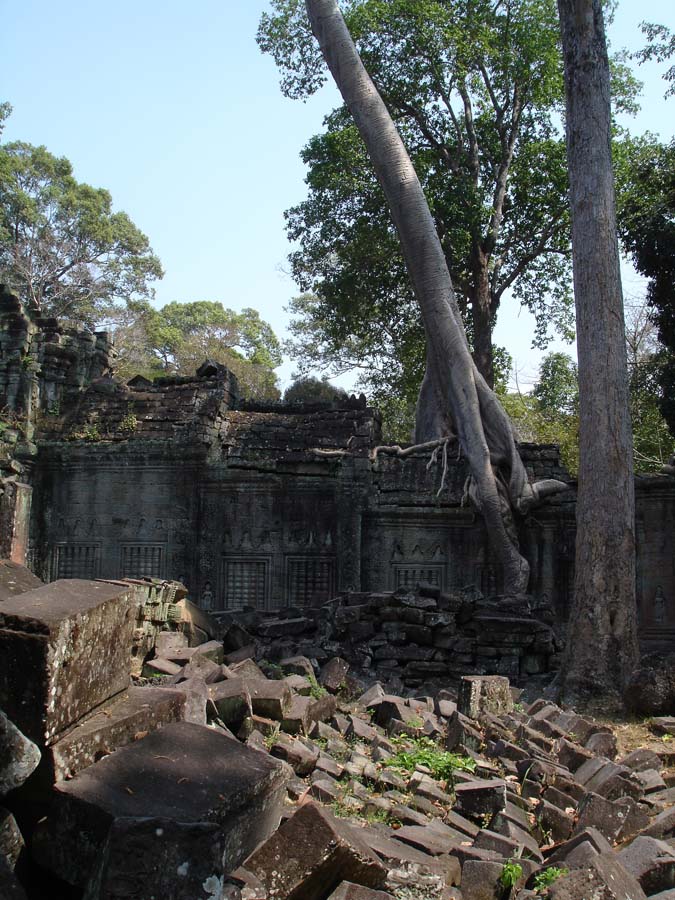 Siem Reap, Cambodia: DSC03664.jpg