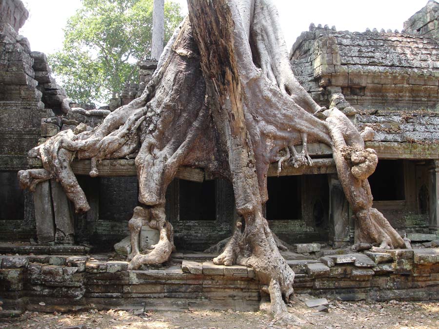 Siem Reap, Cambodia: DSC03667.jpg