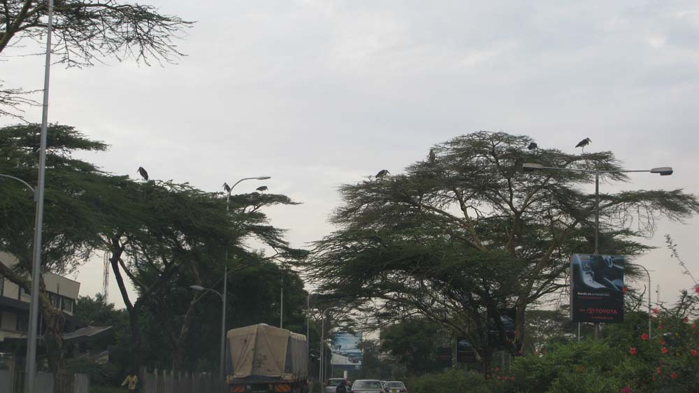 Nairobi, Kenya: IMG_2644.jpg