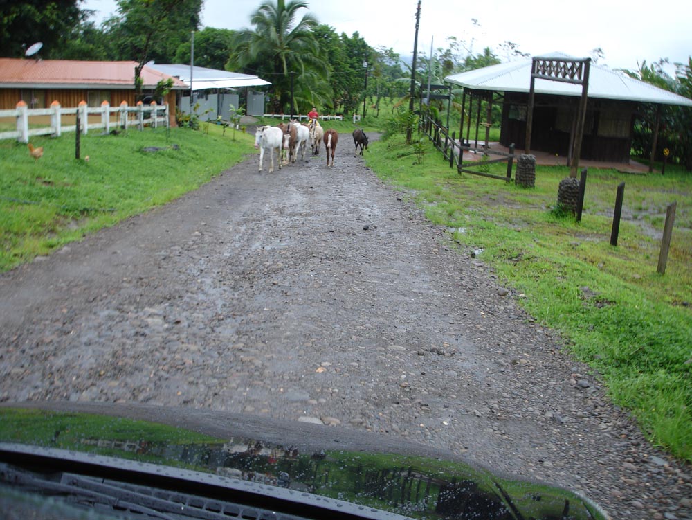 Costa Rica: DSC04014.jpg