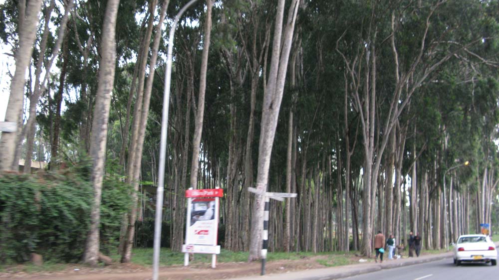 Nairobi, Kenya: IMG_2646.jpg
