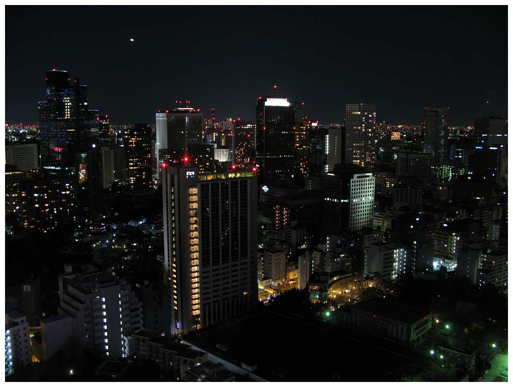 Tokyo, Japan: IMG_1391.jpg